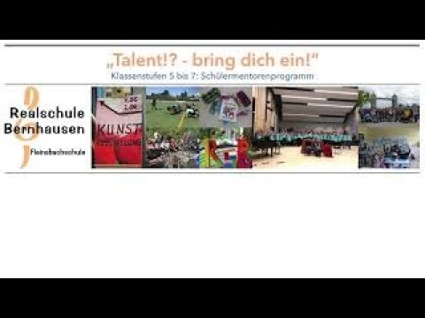 Schülermentorenprogramm